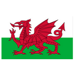 Đội hình U21 Xứ Wales trước trận đấu quan trọng